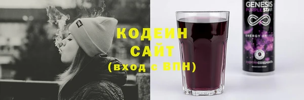 ПСИЛОЦИБИНОВЫЕ ГРИБЫ Заводоуковск