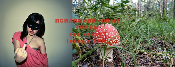 ПСИЛОЦИБИНОВЫЕ ГРИБЫ Заводоуковск