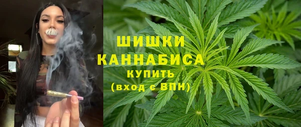 ПСИЛОЦИБИНОВЫЕ ГРИБЫ Заводоуковск
