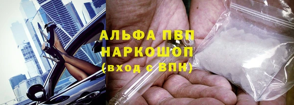 ПСИЛОЦИБИНОВЫЕ ГРИБЫ Заводоуковск