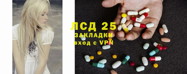 ПСИЛОЦИБИНОВЫЕ ГРИБЫ Заводоуковск