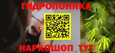 амф Бийск