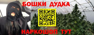 амф Бийск