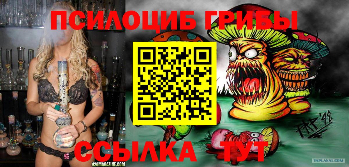 Кимовск  Псилоцибиновые грибы Cubensis  Вход с VPN 