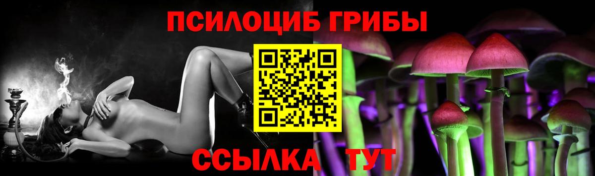 Псилоцибиновые грибы мицелий Кимовск